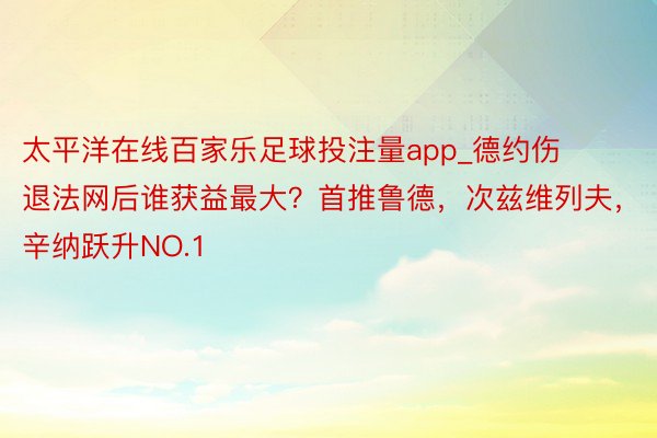 太平洋在线百家乐足球投注量app_德约伤退法网后谁获益最大？首推鲁德，次兹维列夫，辛纳跃升NO.1